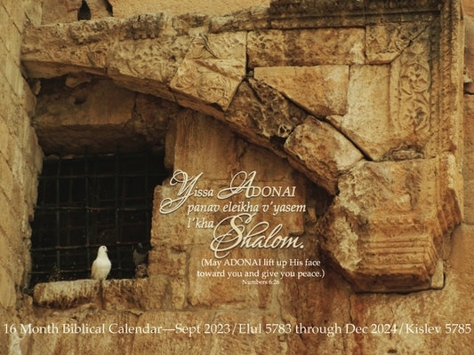 Shalom Calendar by Rubin, Lisa