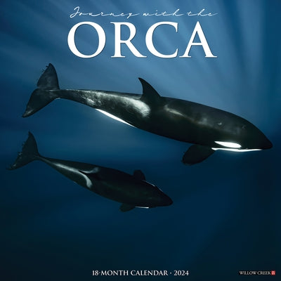 Orca (Journey with The) 2024 12 X 12 Wall Calendar by Willow Creek Press