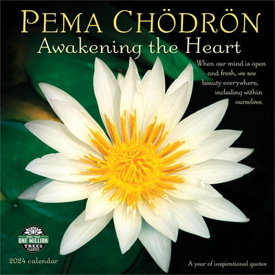 Pema Chödrön 2024 Wall Calendar: Awakening the Heart - A Year of Inspirational Quotes by Amber Lotus Publishing