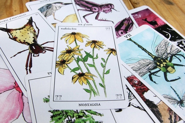 Rust Belt Arcana (Tarot Deck) by Wilson, David