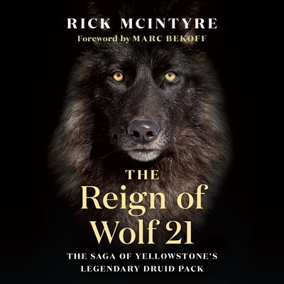 The Reign of Wolf 21: The Saga of Yellowstone's Legendary Druid Pack by McIntyre, Rick