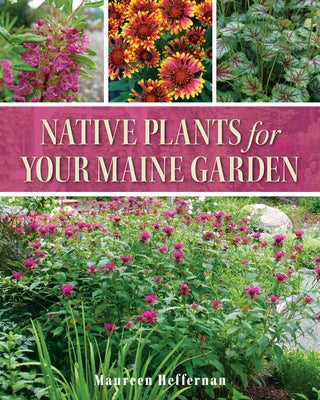 Native Plants for Your Maine Garden by Heffernan, Maureen