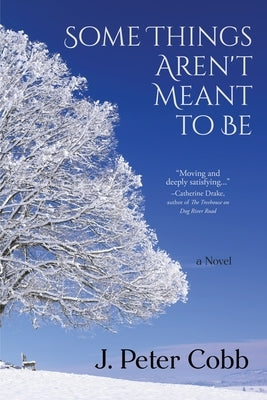 Some Things Aren't Meant to Be by Cobb, J. Peter