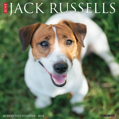 Just Jack Russells 2024 12 X 12 Wall Calendar by Willow Creek Press