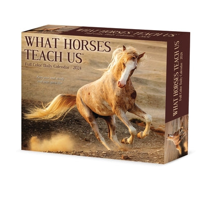 What Horses Teach Us 2024 6.2 X 5.4 Box Calendar by Willow Creek Press
