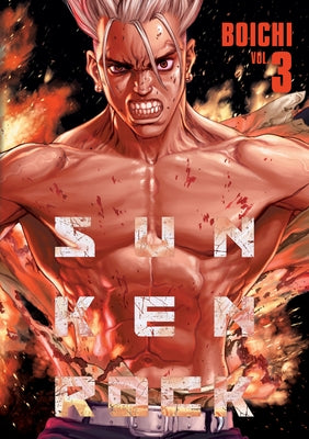 Sun-Ken Rock (Perfect Edition) Vol. 3 by , Boichi
