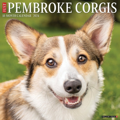 Just Pembroke Corgis 2024 12 X 12 Wall Calendar by Willow Creek Press