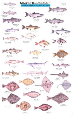 Mac's Field Guides: Northwest Coastal Fish by Macgowan, Craig