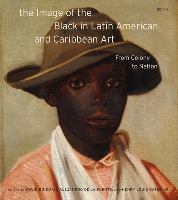 The Image of the Black in Latin American and Caribbean Art by Bindman, David