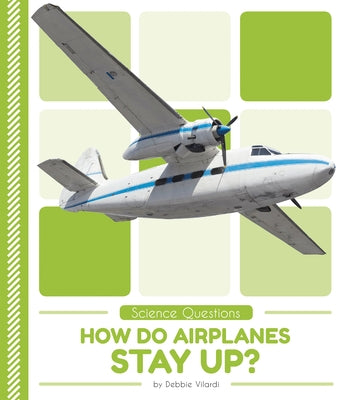How Do Airplanes Stay Up? by Vilardi, Debbie