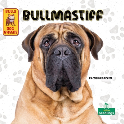 Bullmastiff by Fickett, Corinne