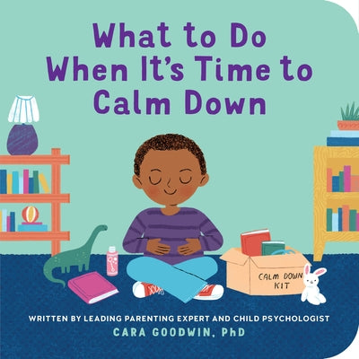 What to Do When It's Time to Calm Down by Goodwin, Cara