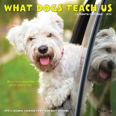 What Dogs Teach Us 2024 7 X 7 Mini Wall Calendar by Willow Creek Press