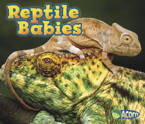 Reptile Babies by Veitch, Catherine