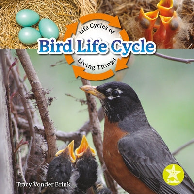Bird Life Cycle by Vonder Brink, Tracy