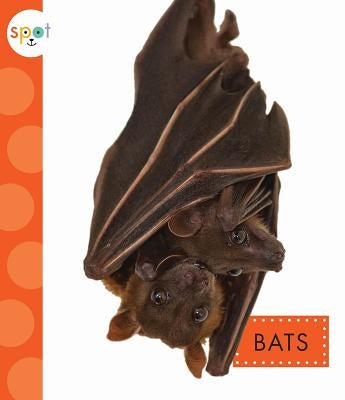 Bats by Dieker, Wendy Strobel