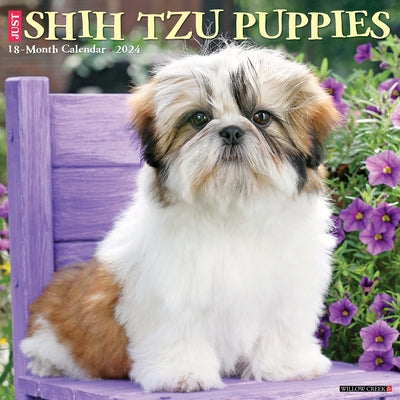 Just Shih Tzu Puppies 2024 12 X 12 Wall Calendar by Willow Creek Press