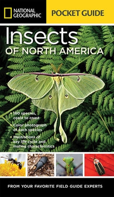 National Geographic Pocket Guide to Insects of North America by Evans, Arthur V.