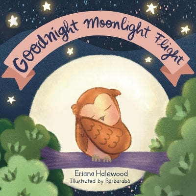 Goodnight Moonlight Flight: A Soothing Bedtime Flight With Bright by Halewood, Eriana