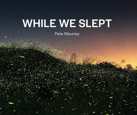 While We Slept by Mauney, Pete