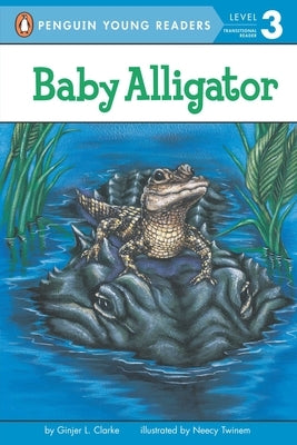 Baby Alligator by Clarke, Ginjer L.