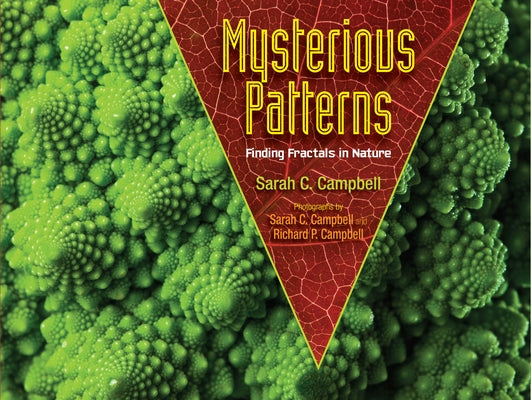 Mysterious Patterns: Finding Fractals in Nature by Campbell, Sarah C.