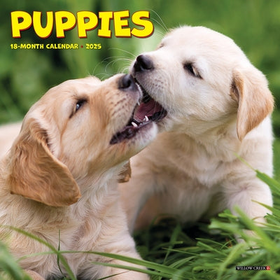 Puppies 2025 7 X 7 Mini Wall Calendar by Willow Creek Press