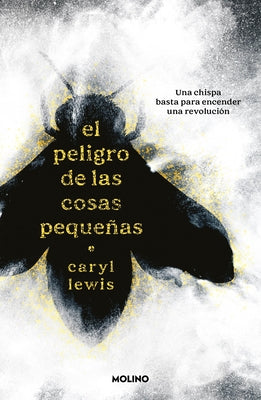 El Peligro de Las Cosas Pequeñas / The Danger of Small Things by Lewis, Caryl