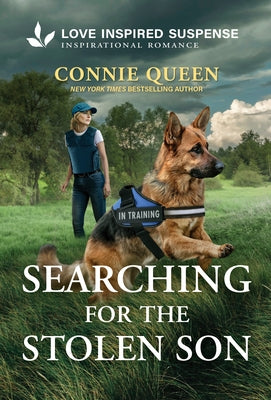 Searching for the Stolen Son by Queen, Connie