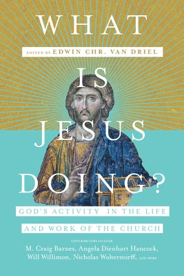 What Is Jesus Doing?: God's Activity in the Life and Work of the Church by Van Driel, Edwin Chr