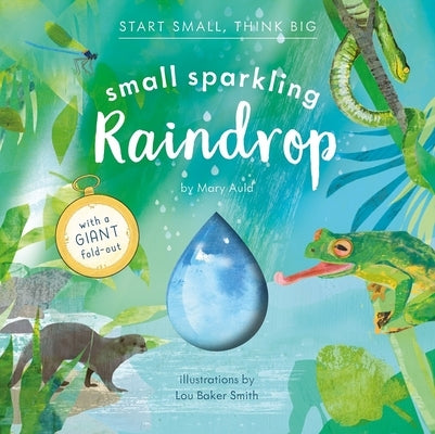 Small Sparkling Raindrop (Start Small, Think Big #5) by Auld, Mary