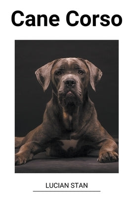 Cane Corso by Stan, Lucian