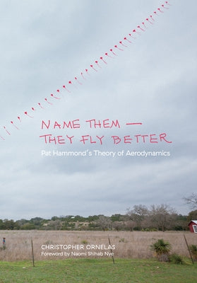 Name Them--They Fly Better: Pat Hammond's Theory of Aerodynamics by Ornelas, Christopher