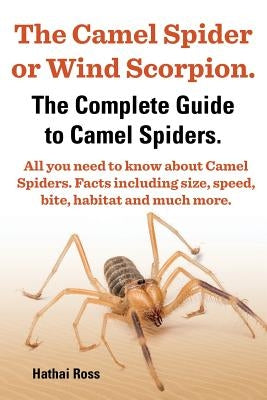 The Camel Spider or Wind Scorpion. the Complete Guide to Camel Spiders. All You Need to Know about Camel Spiders. Facts Including Size, Speed, Bite an by Ross, Hathai