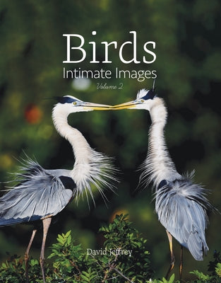 Birds: Intimate Images Volume 2 by Jeffrey, David