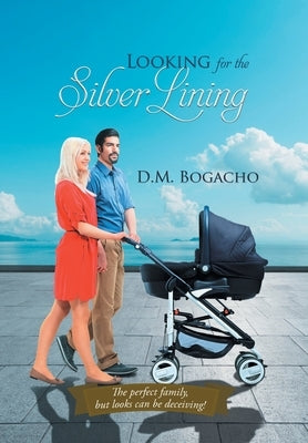 Looking for the Silver Lining by D M Bogacho