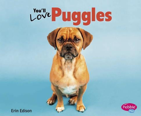 You'll Love Puggles by Saunders-Smith, Gail