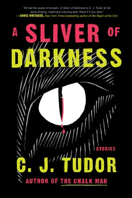 A Sliver of Darkness: Stories by Tudor, C. J.