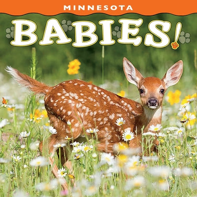 Minnesota Babies! by Farcountry Press