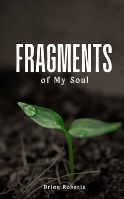 Fragments of My Soul by Roberts, Brian