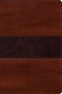 Rvr 1960 Biblia del Pescador Letra Grande, Caoba Símil Piel by DÃ­az-PabÃ³n, Luis Ãngel
