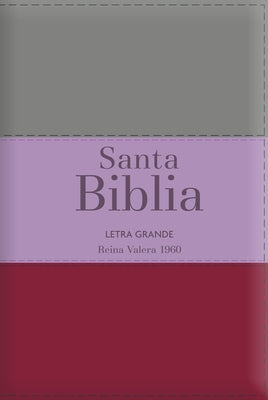 Biblia Rvr60 Letra Grande - Tamaño Manual / Tricolor: Marrón/Lila/Violeta Con Indice Y Cierre (Bible Rvr60 Lp/Pocket Size - Tricolor: Burgundy/Lilac/V by Reina Valera 1960