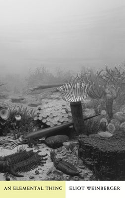 An Elemental Thing by Weinberger, Eliot