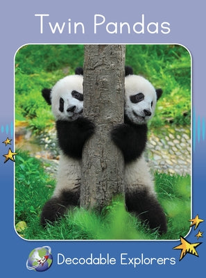 Twin Pandas: Skills Set 1 by Holden, Pam
