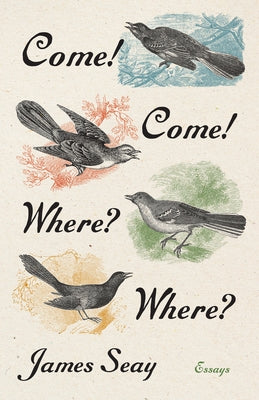 Come! Come! Where? Where?: Essays by Seay, James