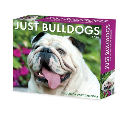 Bulldogs 2024 6.2 X 5.4 Box Calendar by Willow Creek Press