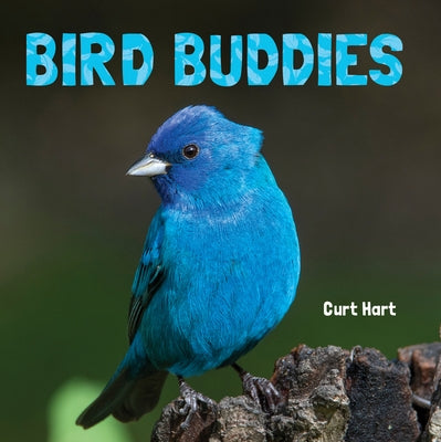 Bird Buddies by Hart, Curt