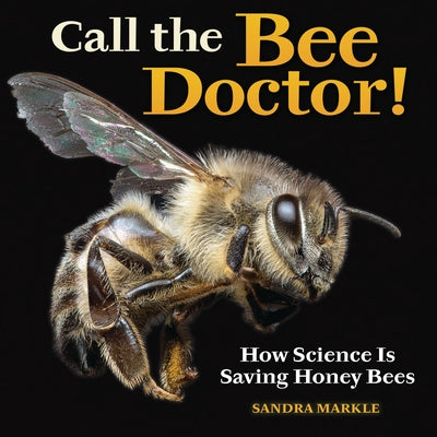 Call the Bee Doctor!: How Science Is Saving Honey Bees by Markle, Sandra