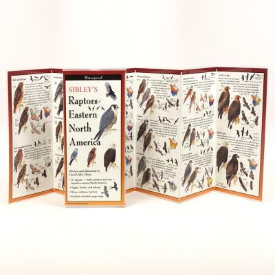 Sibley's Raptors of Eastern N.A. by Sibley, David