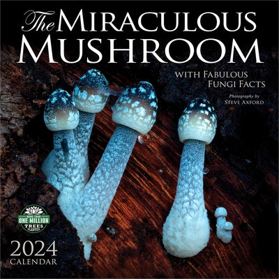 Miraculous Mushroom 2024 Wall Calendar: With Fabulous Fungi Facts by Amber Lotus Publishing